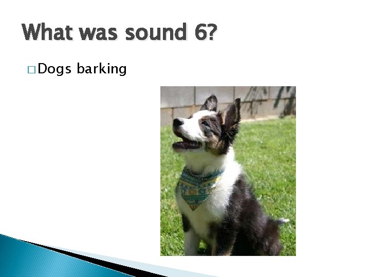 What was sound 6? � Dogs barking 