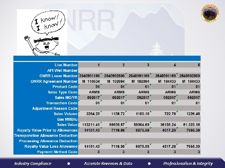 Industry Compliance Accurate Revenues & Data Professionalism & Integrity 