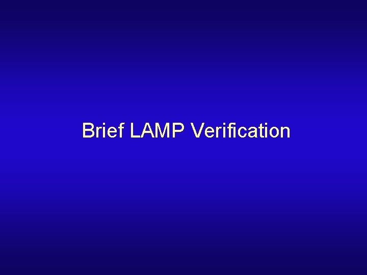 Brief LAMP Verification 