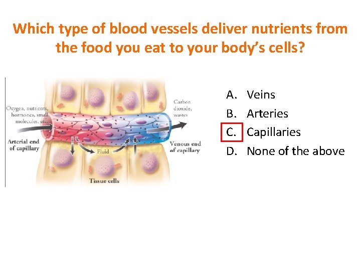 Which type of blood vessels deliver nutrients from the food you eat to your