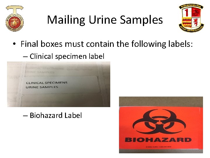 Mailing Urine Samples • Final boxes must contain the following labels: – Clinical specimen