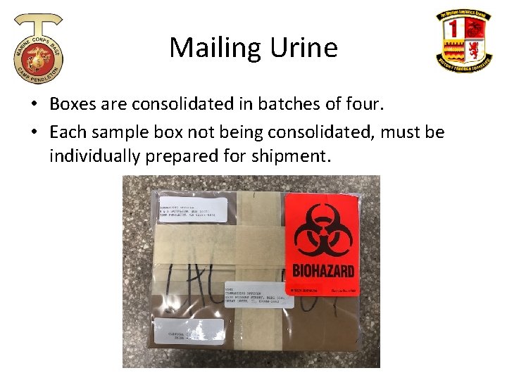 Mailing Urine • Boxes are consolidated in batches of four. • Each sample box