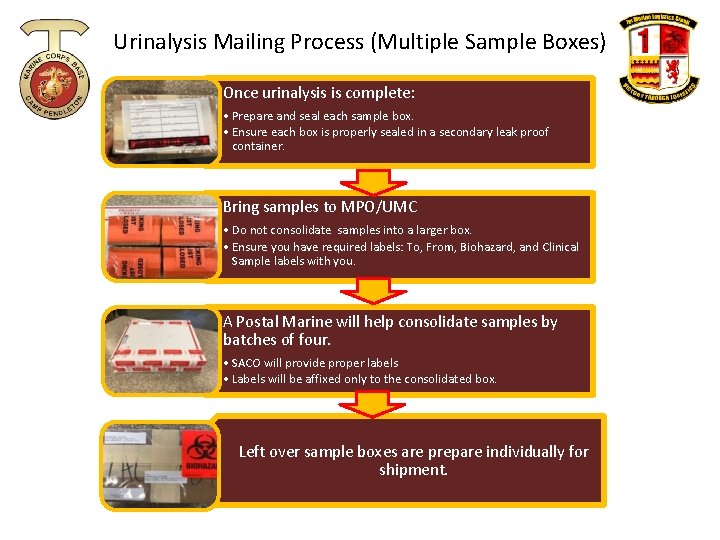 Urinalysis Mailing Process (Multiple Sample Boxes) Once urinalysis is complete: • Prepare and seal