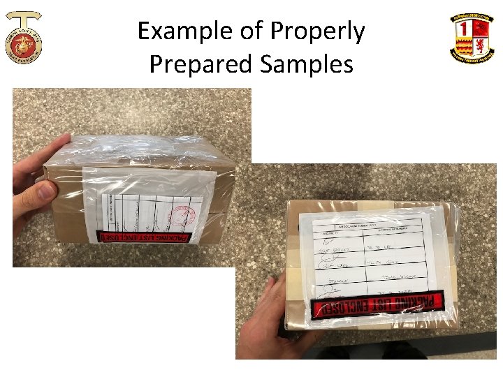 Example of Properly Prepared Samples 