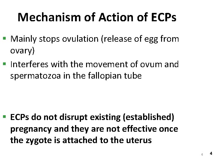 Mechanism of Action of ECPs § Mainly stops ovulation (release of egg from ovary)