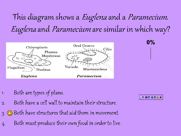 This diagram shows a Euglena and a Paramecium. Euglena and Paramecium are similar in