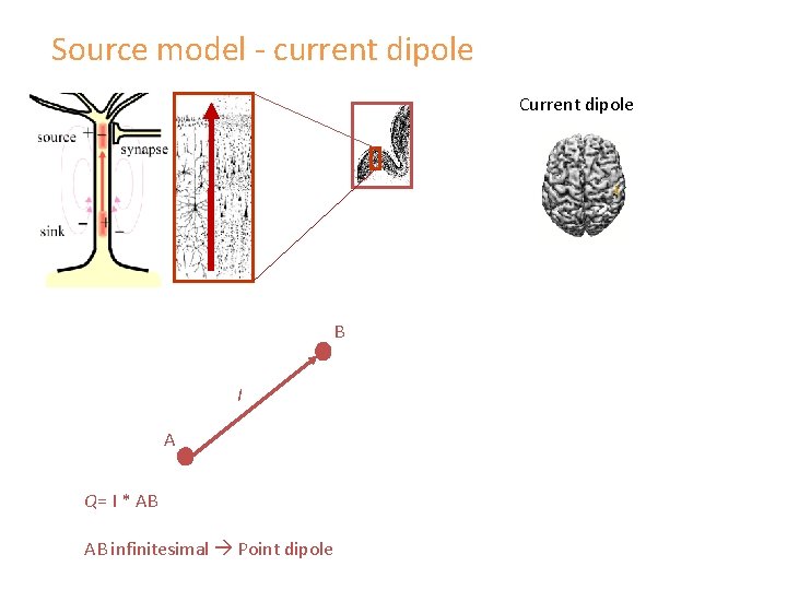 Source model - current dipole Current dipole B I A Q= I * AB