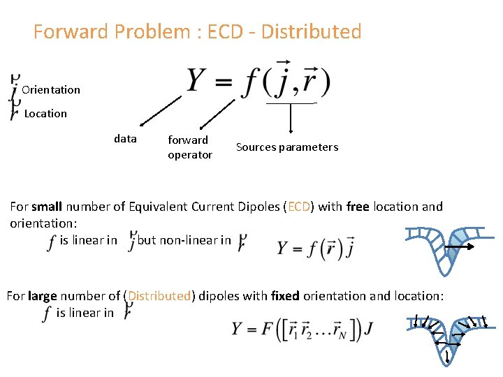 Forward Problem : ECD - Distributed Orientation Location data forward operator Sources parameters For