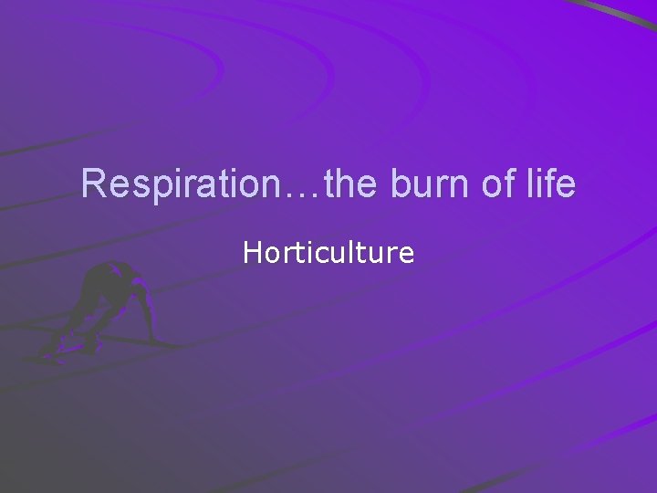 Respiration…the burn of life Horticulture 