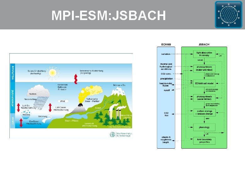 MPI-ESM: JSBACH 