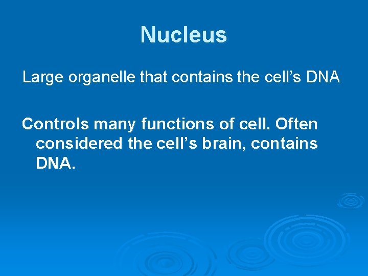 Nucleus Large organelle that contains the cell’s DNA Controls many functions of cell. Often