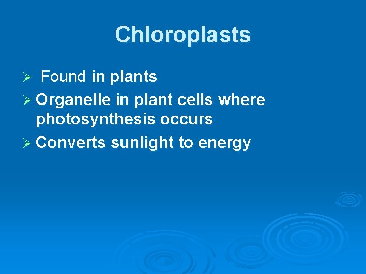 Chloroplasts Found in plants Ø Organelle in plant cells where photosynthesis occurs Ø Converts