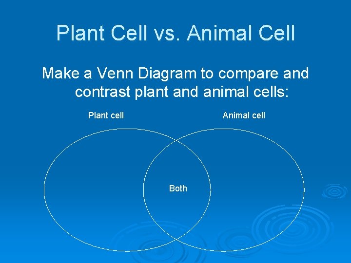 Plant Cell vs. Animal Cell Make a Venn Diagram to compare and contrast plant