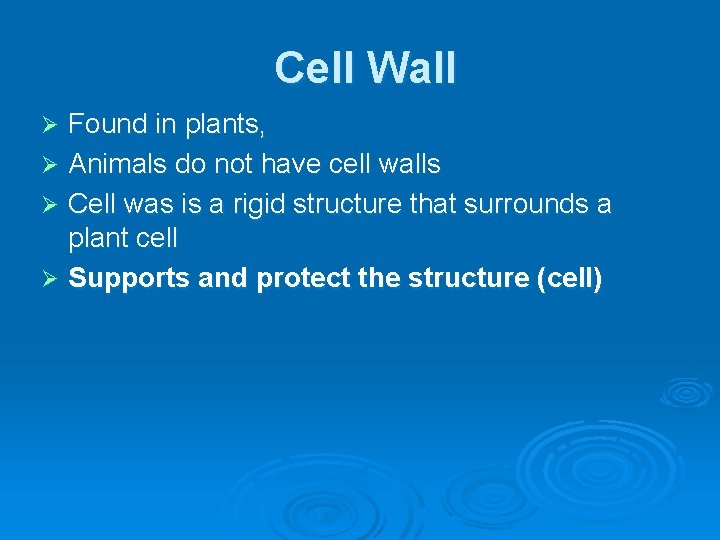 Cell Wall Found in plants, Ø Animals do not have cell walls Ø Cell