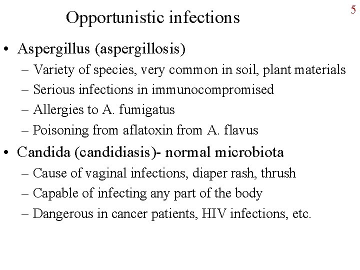 Opportunistic infections • Aspergillus (aspergillosis) – Variety of species, very common in soil, plant
