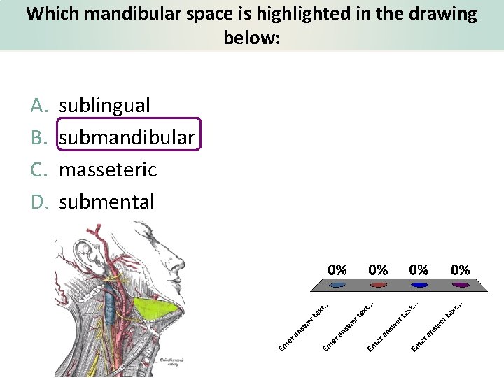 Which mandibular space is highlighted in the drawing below: A. B. C. D. sublingual