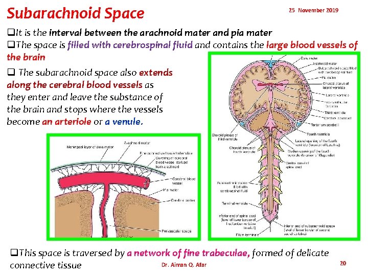 Subarachnoid Space 25 November 2019 q. It is the interval between the arachnoid mater