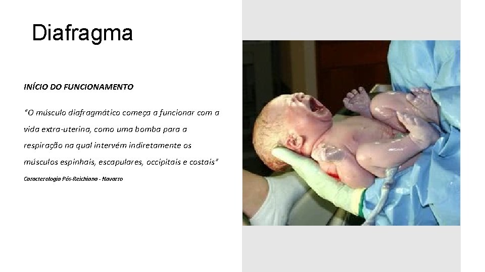 Diafragma INÍCIO DO FUNCIONAMENTO “O músculo diafragmático começa a funcionar com a vida extra-uterina,