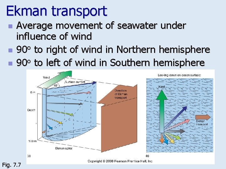 Ekman transport n n n Average movement of seawater under influence of wind 90