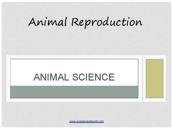 Animal Reproduction ANIMAL SCIENCE www. assignmentpoint. com 