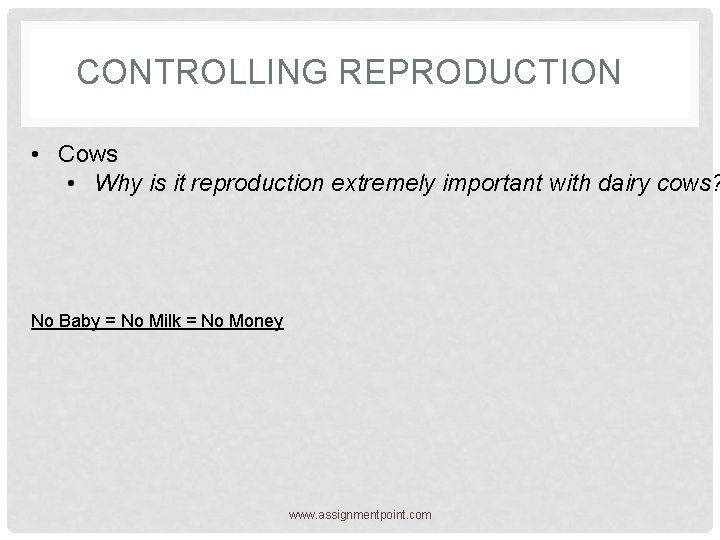 CONTROLLING REPRODUCTION • Cows • Why is it reproduction extremely important with dairy cows?
