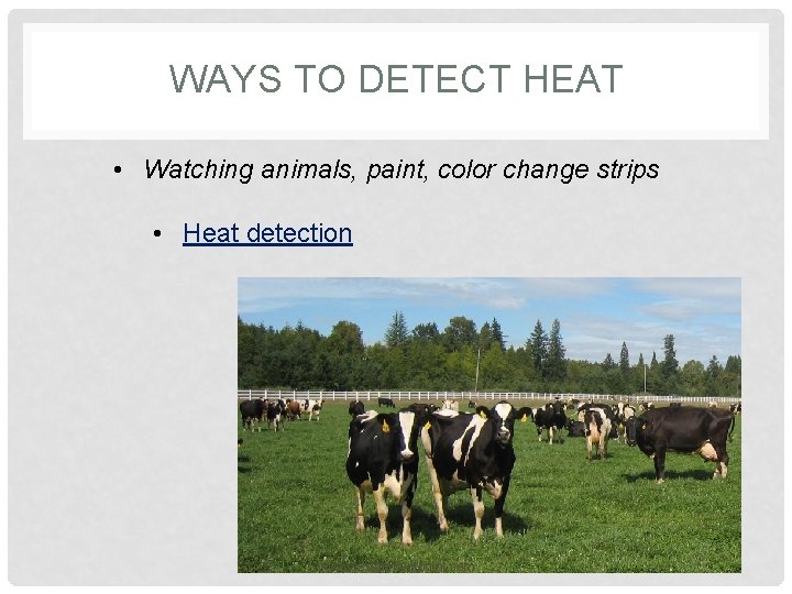 WAYS TO DETECT HEAT • Watching animals, paint, color change strips • Heat detection