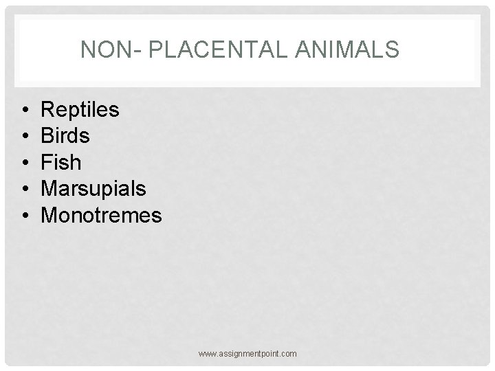 NON- PLACENTAL ANIMALS • • • Reptiles Birds Fish Marsupials Monotremes www. assignmentpoint. com