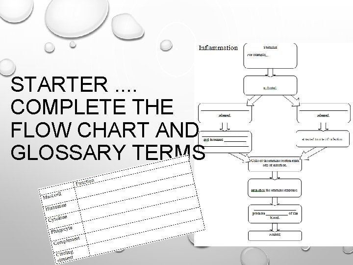 STARTER. . COMPLETE THE FLOW CHART AND GLOSSARY TERMS 