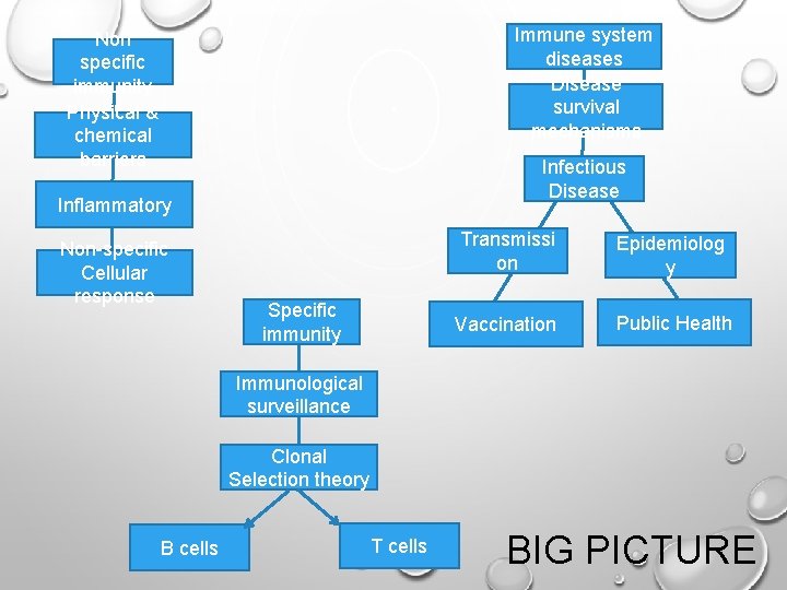 Immune system diseases Disease survival mechanisms Non specific immunity Physical & chemical barriers Infectious