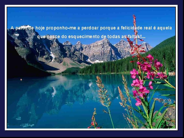 A partir de hoje proponho-me a perdoar porque a felicidade real é aquela que