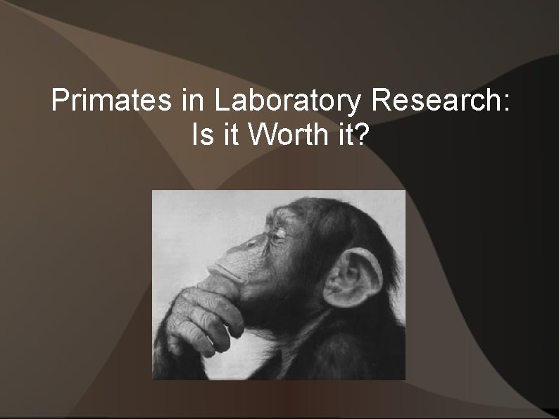 Primates in Laboratory Research: Is it Worth it? 