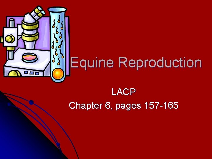 Equine Reproduction LACP Chapter 6, pages 157 -165 