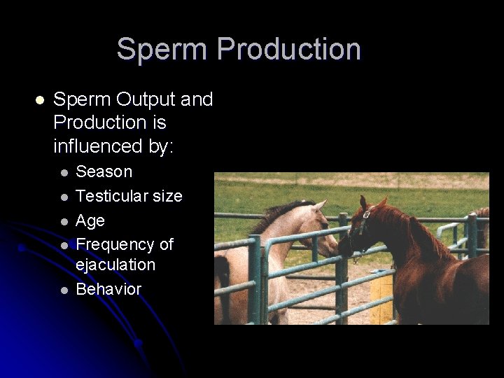 Sperm Production l Sperm Output and Production is influenced by: l l l Season