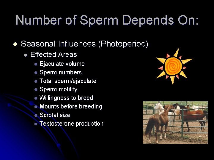 Number of Sperm Depends On: l Seasonal Influences (Photoperiod) l Effected Areas Ejaculate volume