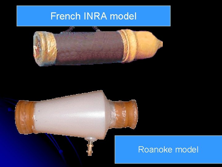 French INRA model Roanoke model 