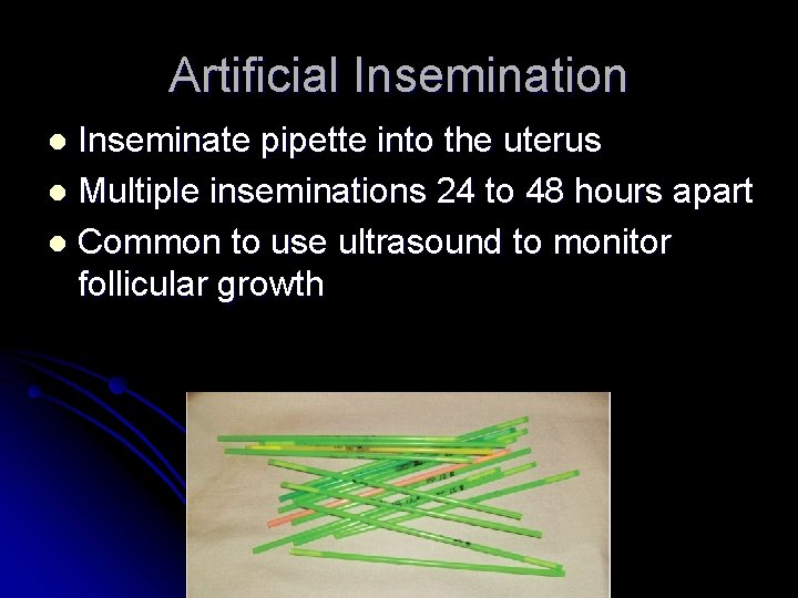 Artificial Insemination Inseminate pipette into the uterus l Multiple inseminations 24 to 48 hours