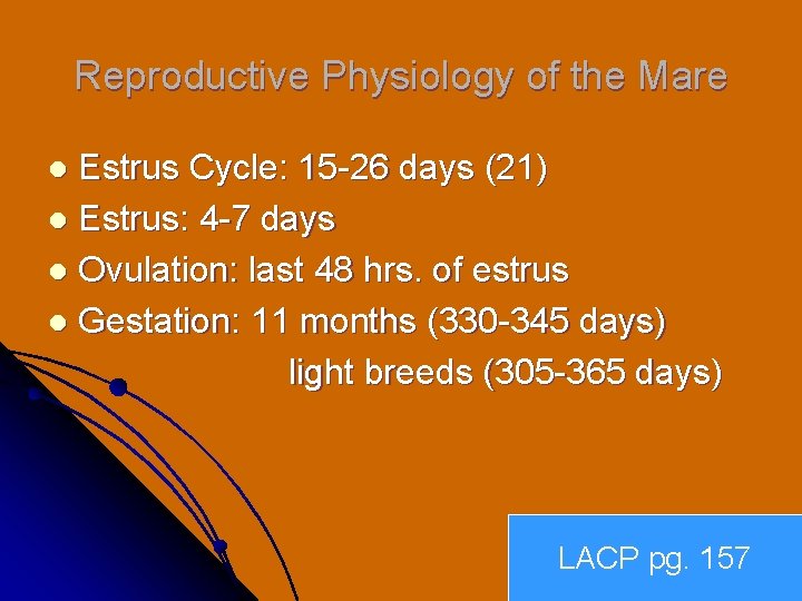 Reproductive Physiology of the Mare Estrus Cycle: 15 -26 days (21) l Estrus: 4