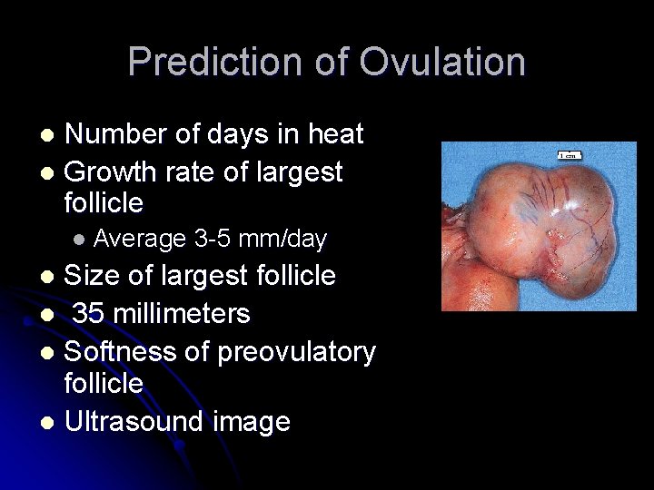 Prediction of Ovulation Number of days in heat l Growth rate of largest follicle