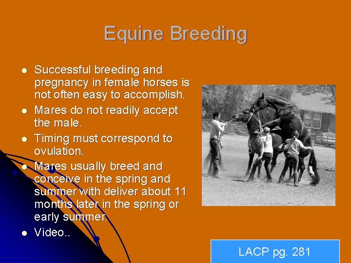 Equine Breeding l l l Successful breeding and pregnancy in female horses is not