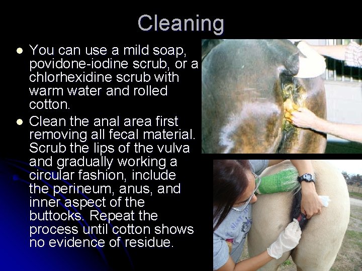 Cleaning l l You can use a mild soap, povidone-iodine scrub, or a chlorhexidine