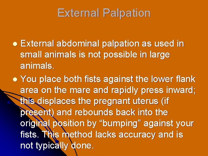 External Palpation External abdominal palpation as used in small animals is not possible in