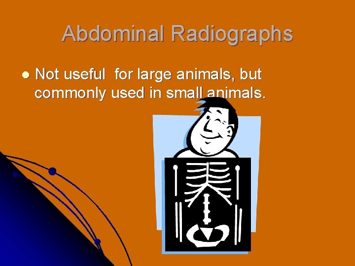 Abdominal Radiographs l Not useful for large animals, but commonly used in small animals.