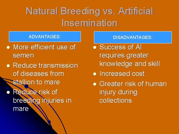 Natural Breeding vs. Artificial Insemination ADVANTAGES: l l l More efficient use of semen