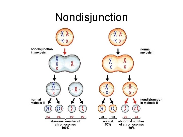 Nondisjunction Nondisjunction