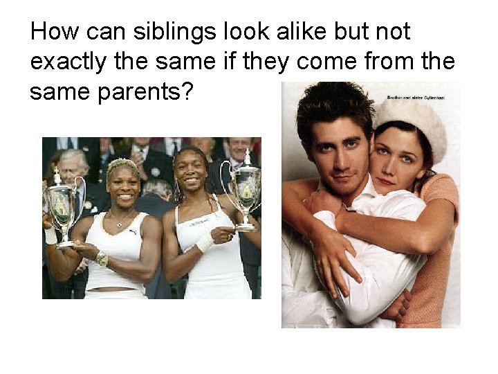 How can siblings look alike but not exactly the same if they come from How can siblings look alike but not exactly the same if they come from