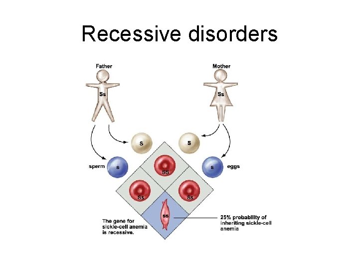 Recessive disorders Recessive disorders