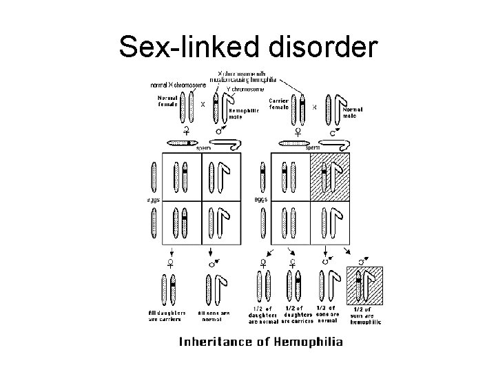 Sex-linked disorder Sex-linked disorder
