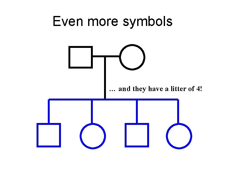 Even more symbols … and they have a litter of 4! Even more symbols … and they have a litter of 4!