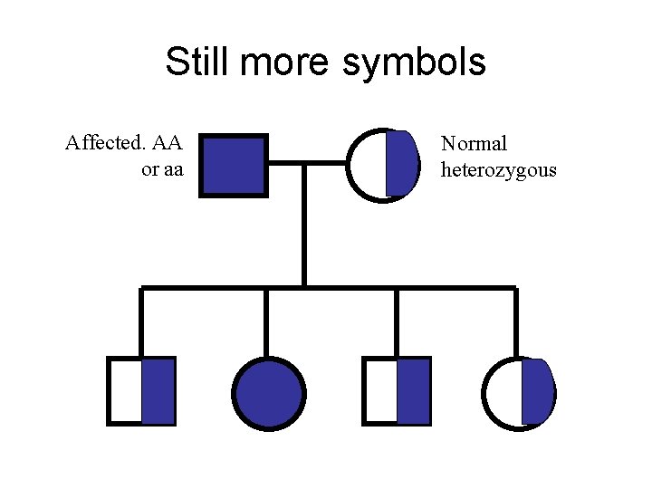 Still more symbols Affected. AA or aa Normal heterozygous Still more symbols Affected. AA or aa Normal heterozygous