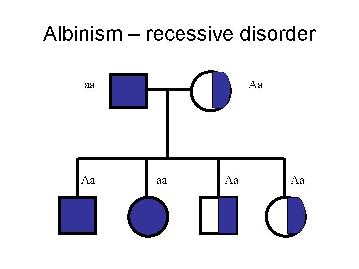 Albinism – recessive disorder aa Aa Aa Albinism – recessive disorder aa Aa Aa